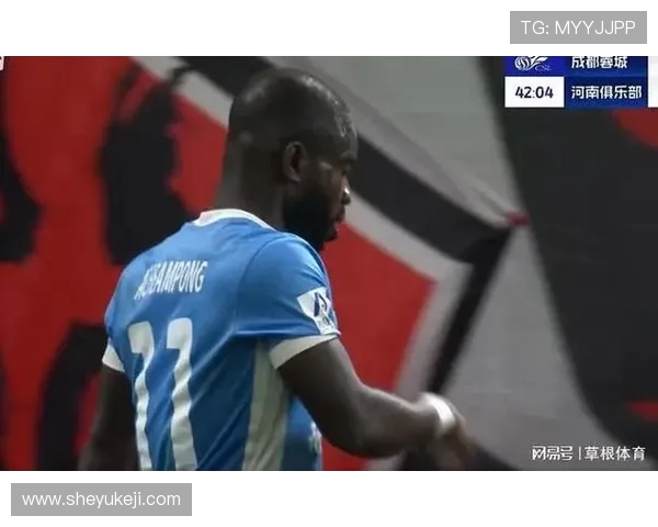 河南足球教父画像遭泼红漆 成都球迷极端行为引发公愤