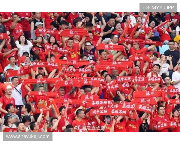 苏超球迷赛后 “最帅捡垃圾” 人走场净成文明标杆(2) 苏超球迷赛后 “最帅捡垃圾” 人走场净成文明标杆(2)